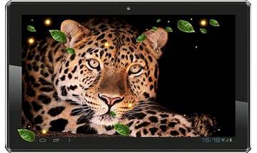 Leopard Live Wallpapers for Android - Download the APK from Habererciyes